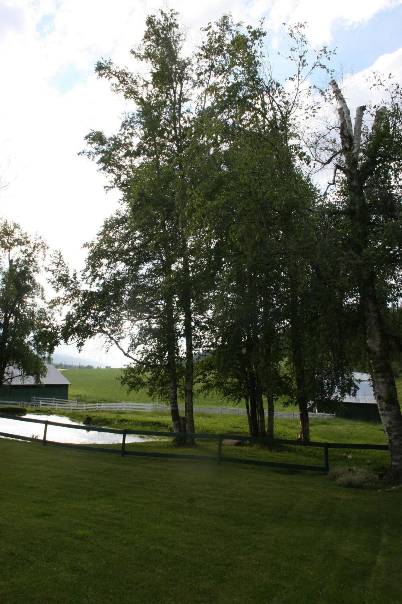 Dunphy'S Bed And Breakfast Parson Zewnętrze zdjęcie